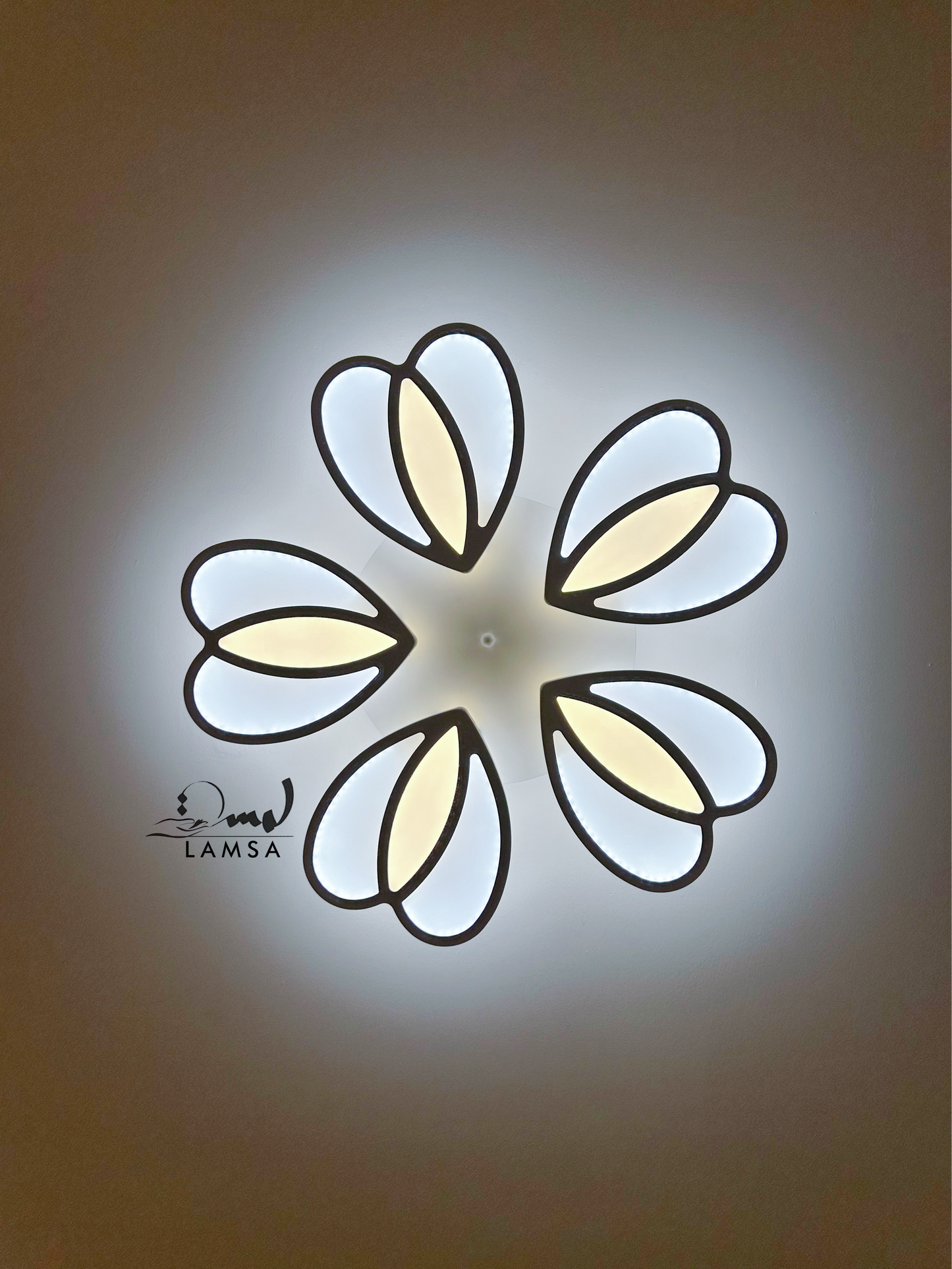 LED Plafonnier Acrylique Blanc "Cœur"