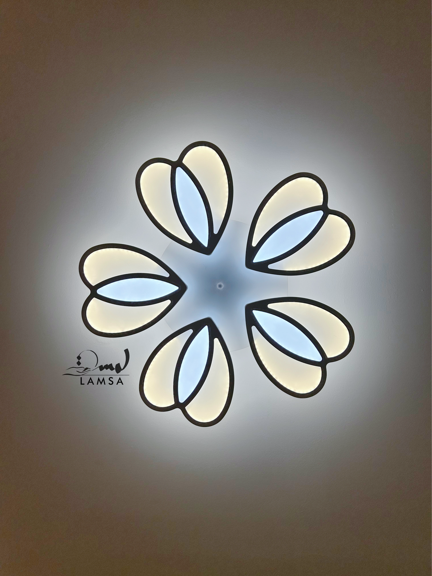 LED Plafonnier Acrylique Blanc "Cœur"