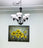 Lustre Chandelier 